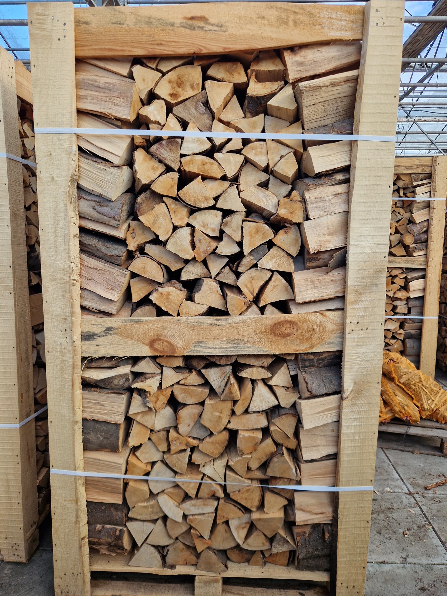Haagbeuk 0,80m X 1,19m X 1,85m